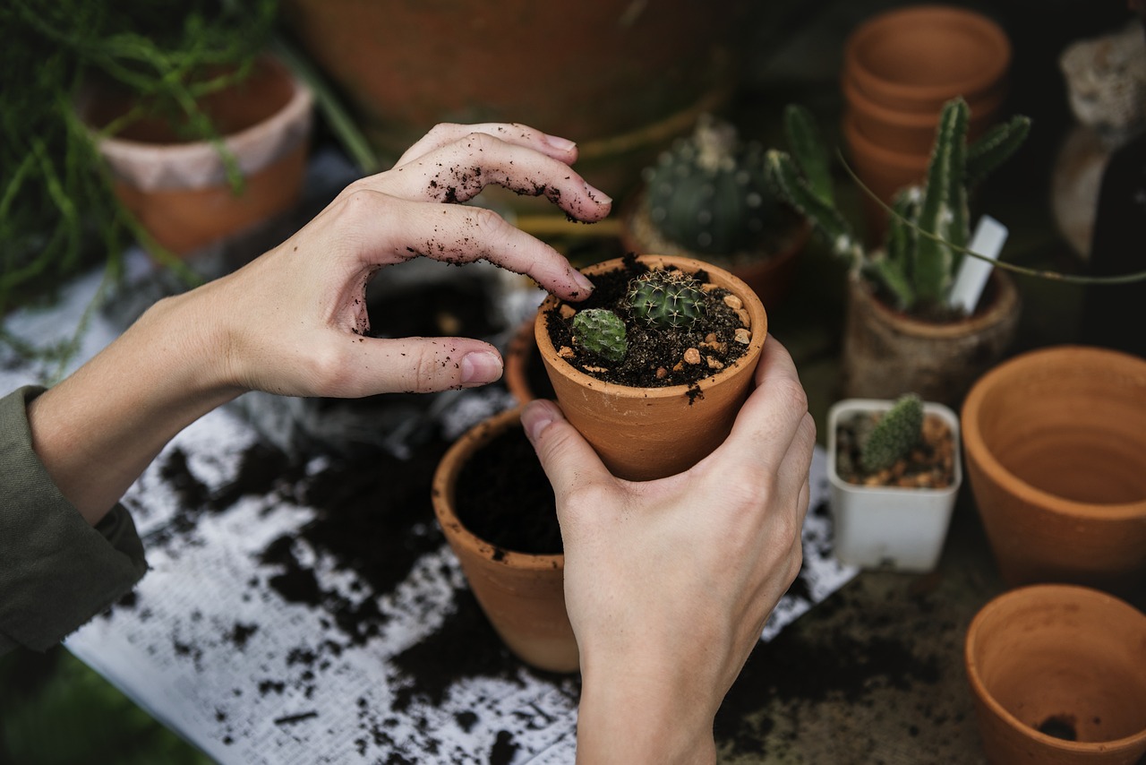 Repotting Houseplants into Handmade Pots Without Killing Them
