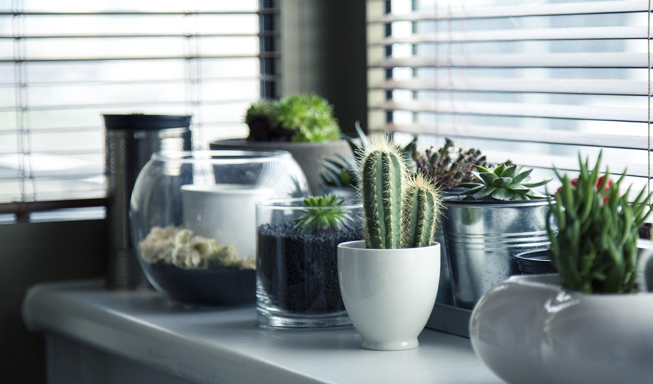 Winter Care for Clay Pots: Protecting Terracotta from Frost